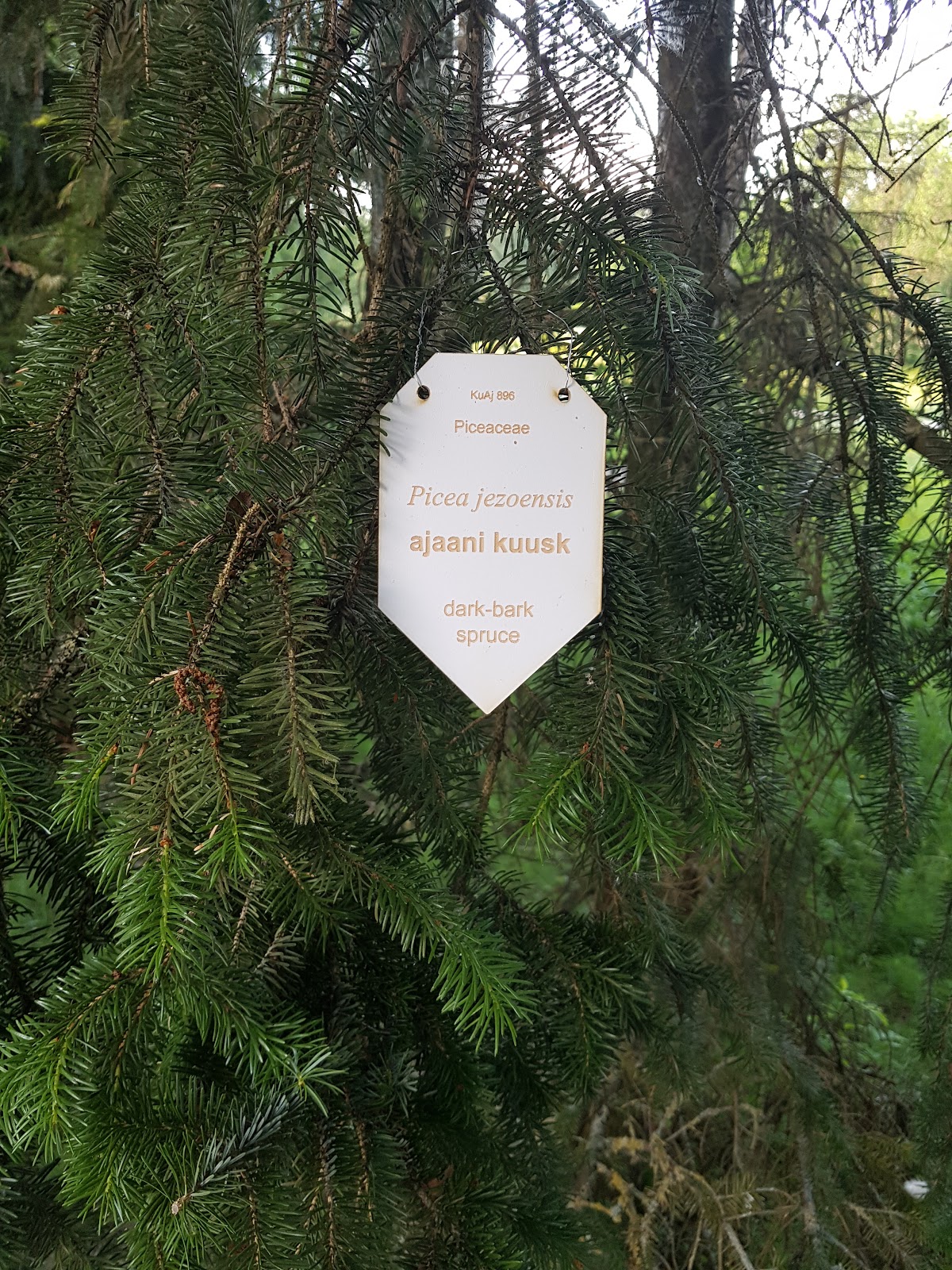 Estonian University of Life Sciences photo 7