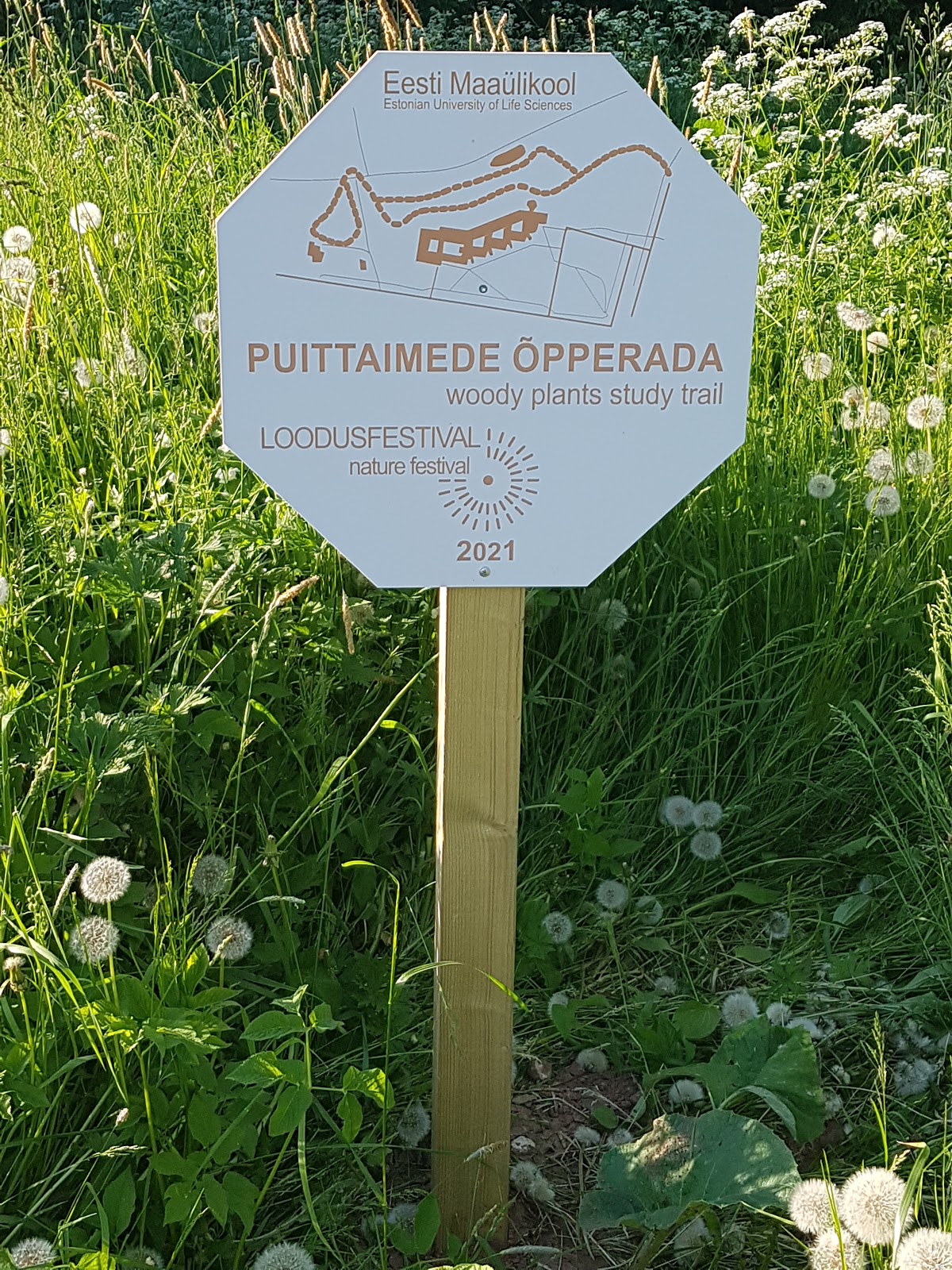 Estonian University of Life Sciences photo 8