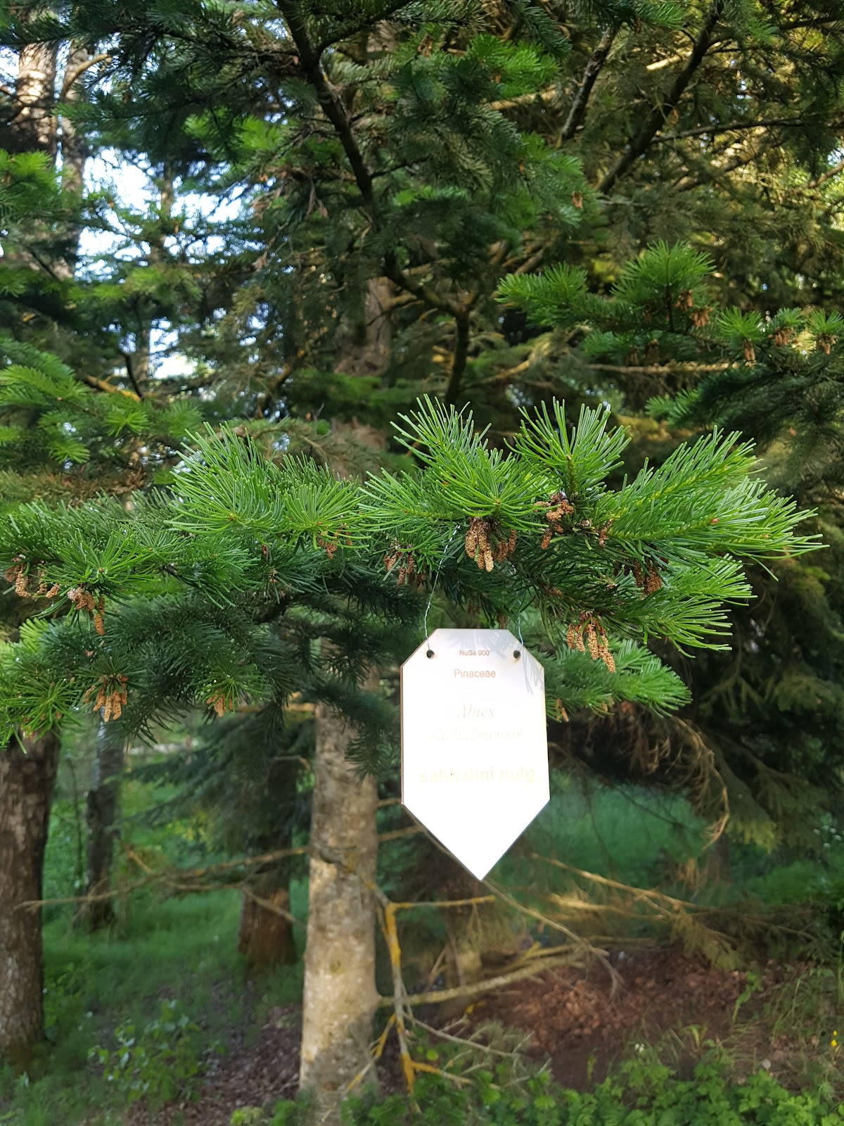 Estonian University of Life Sciences photo 9