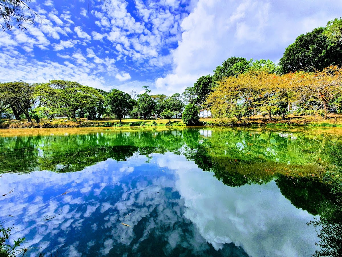 Universiti Sains Malaysia photo 7