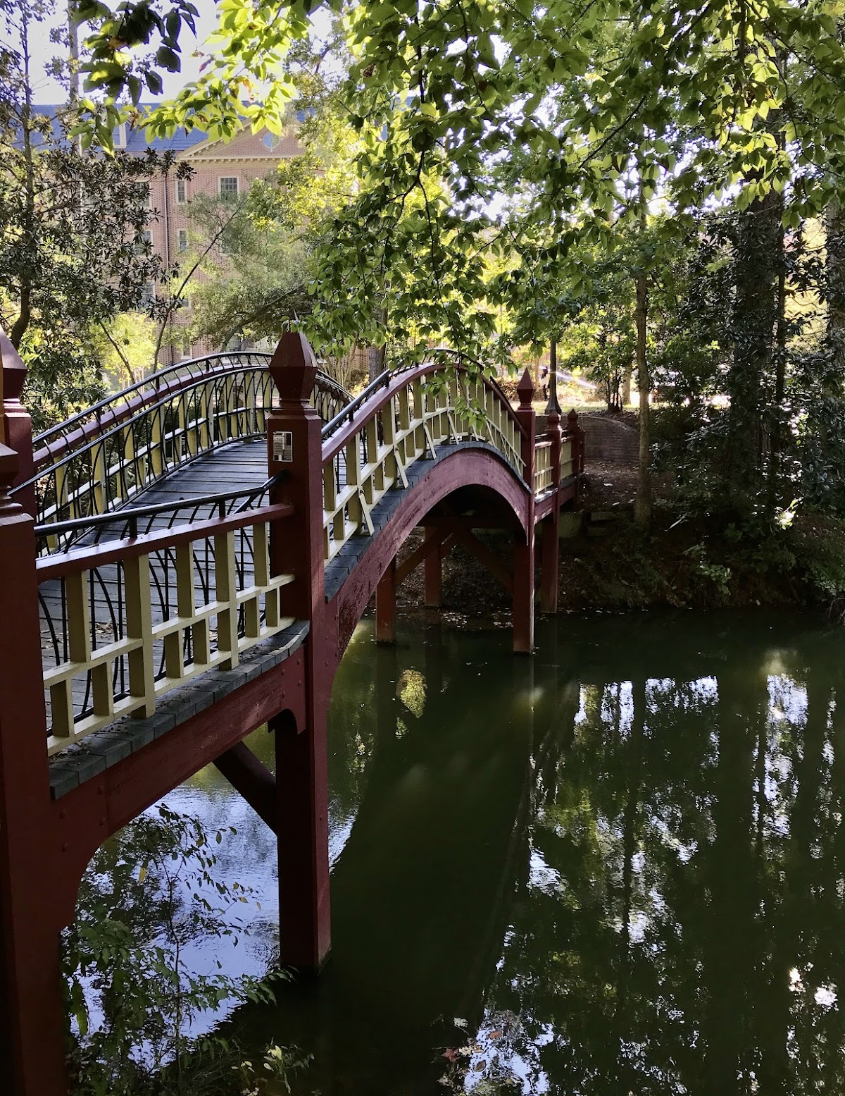 College of William and Mary photo 8