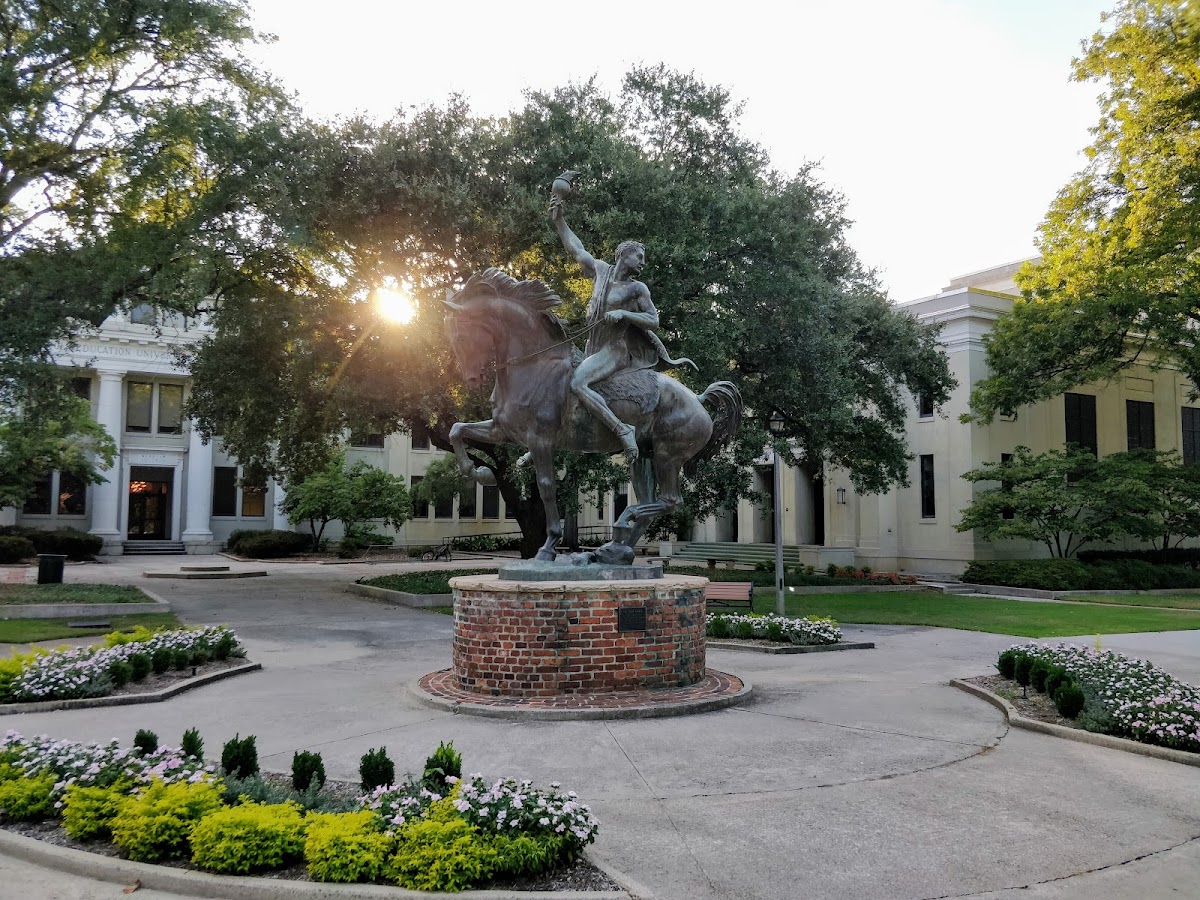 University of South Carolina photo 6