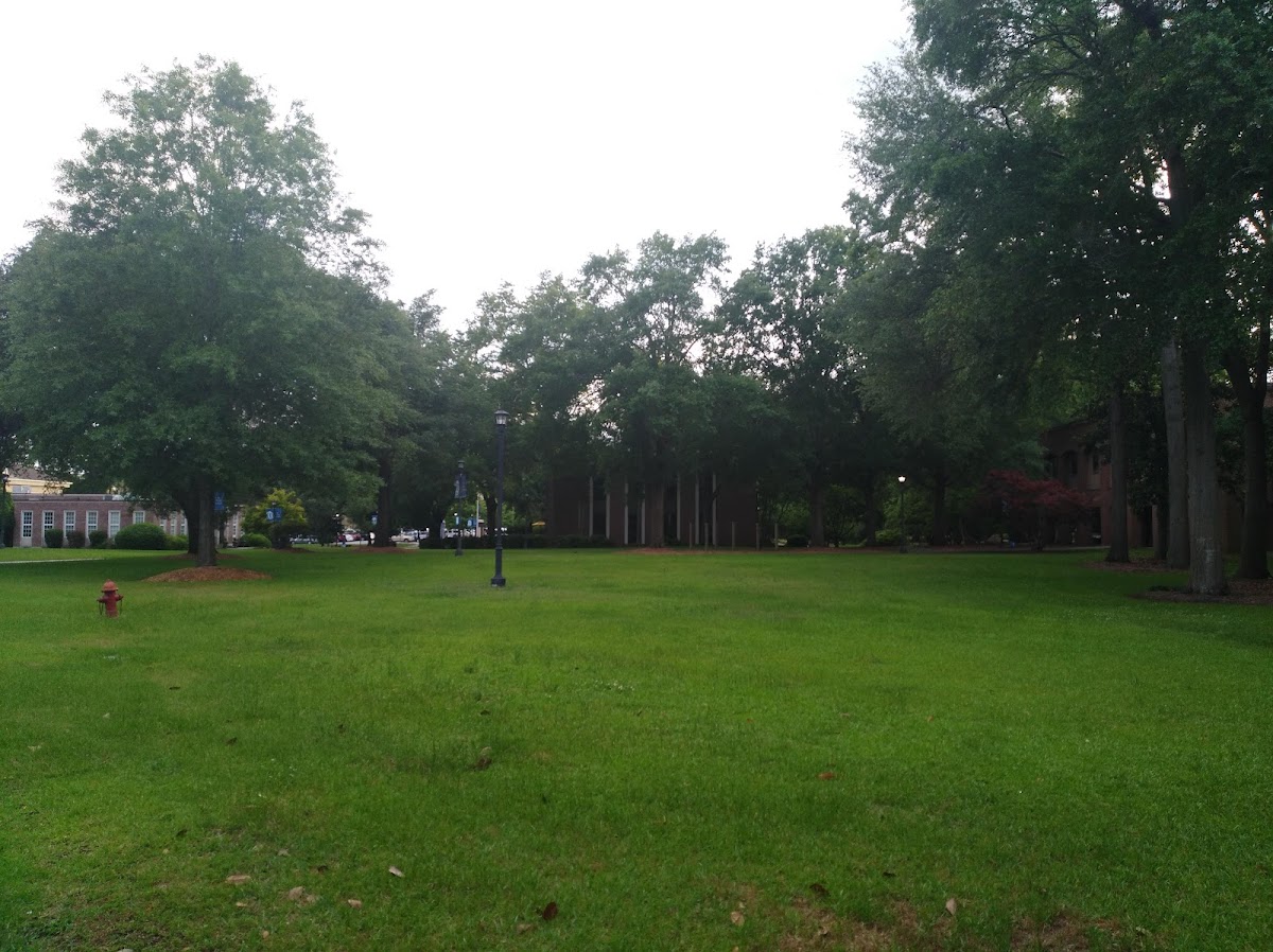Coker College photo 3