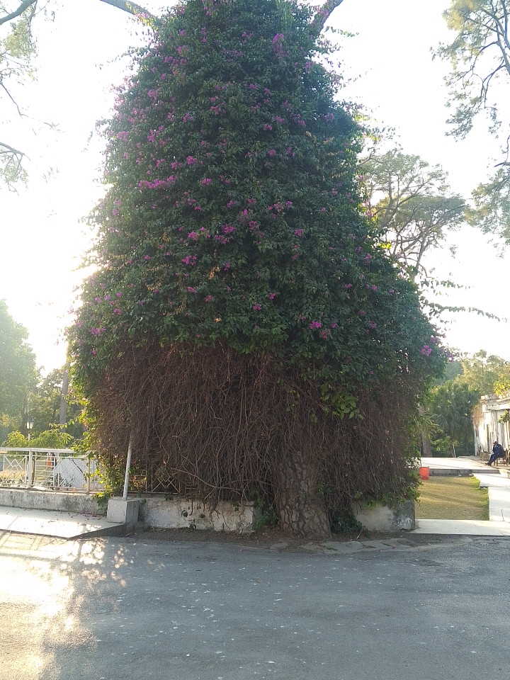 Fatima Jinnah Women University photo 8