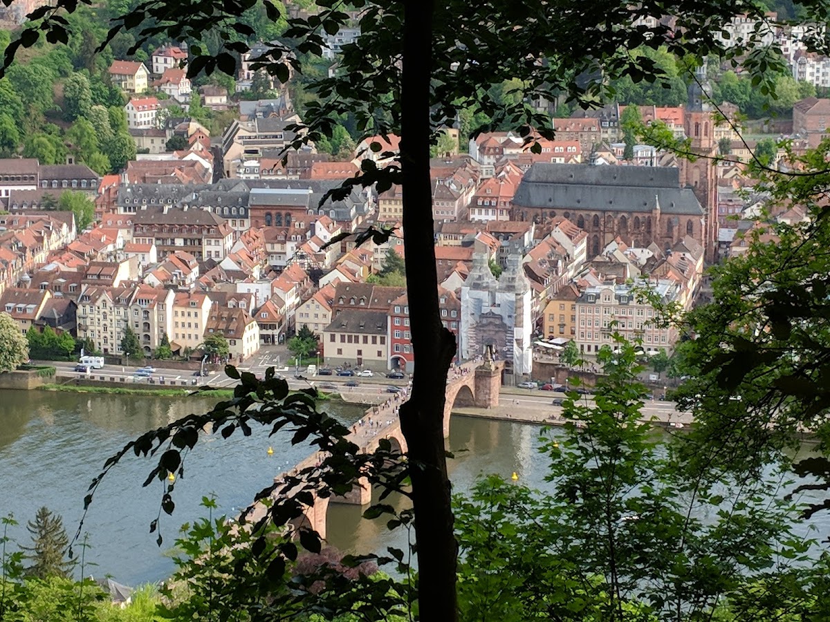 University of Heidelberg photo 4