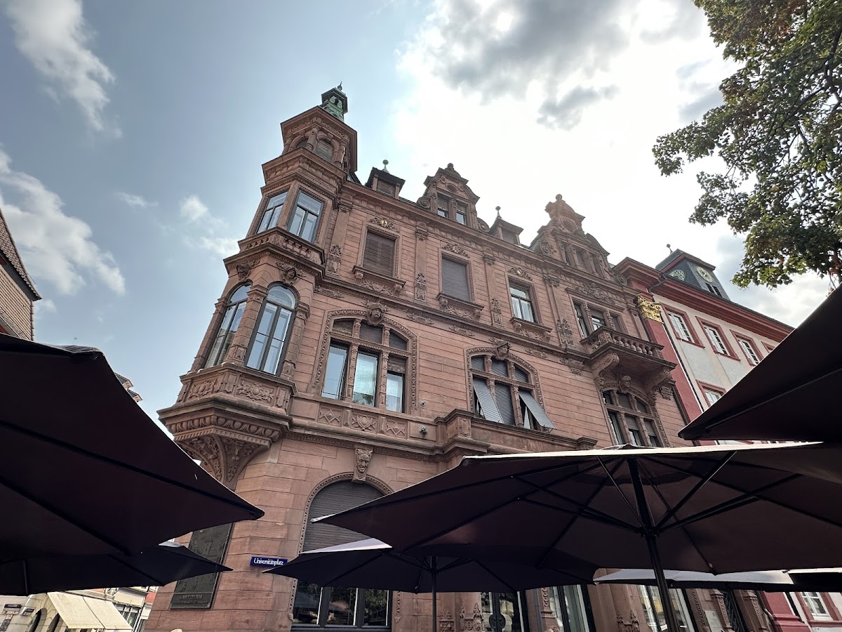 University of Heidelberg photo 5