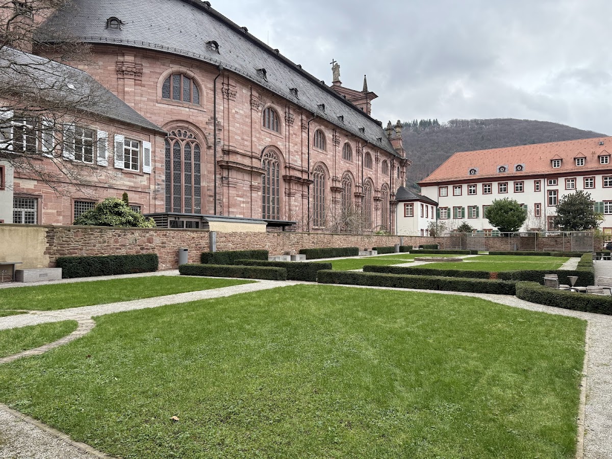 University of Heidelberg photo 6