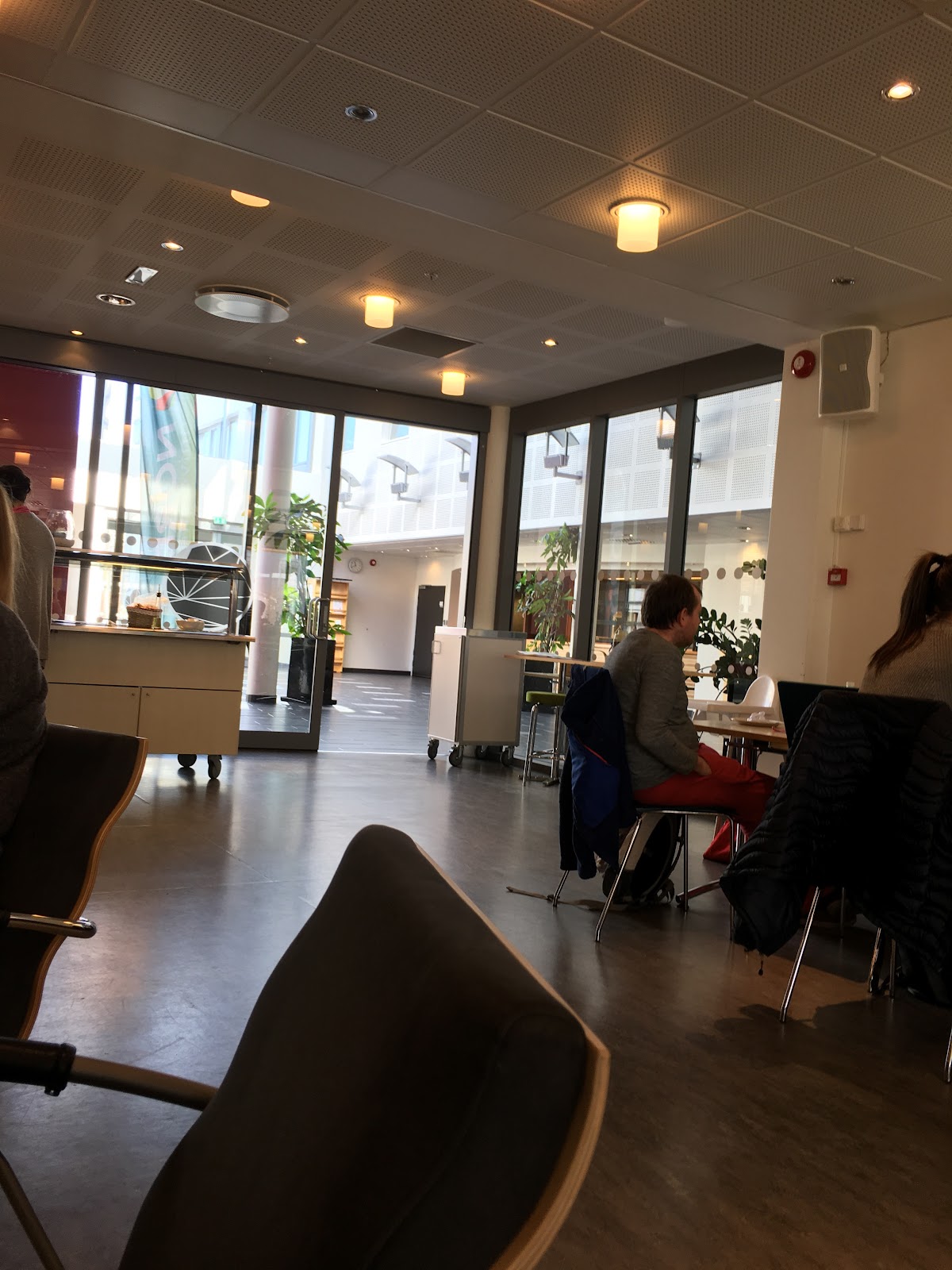 Nesna University College photo 9