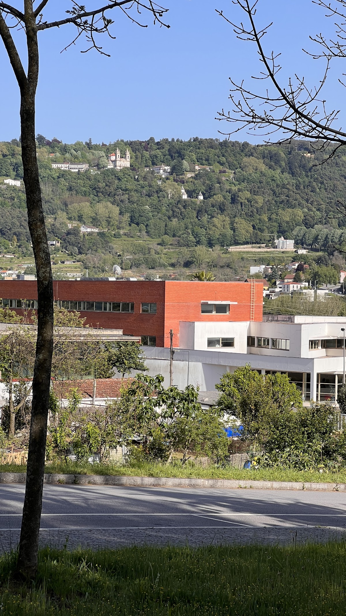 School of Economics and Management, University of Minho photo 6