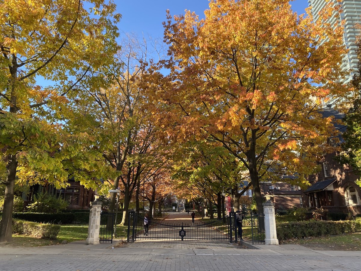 St. Michael's College photo 4