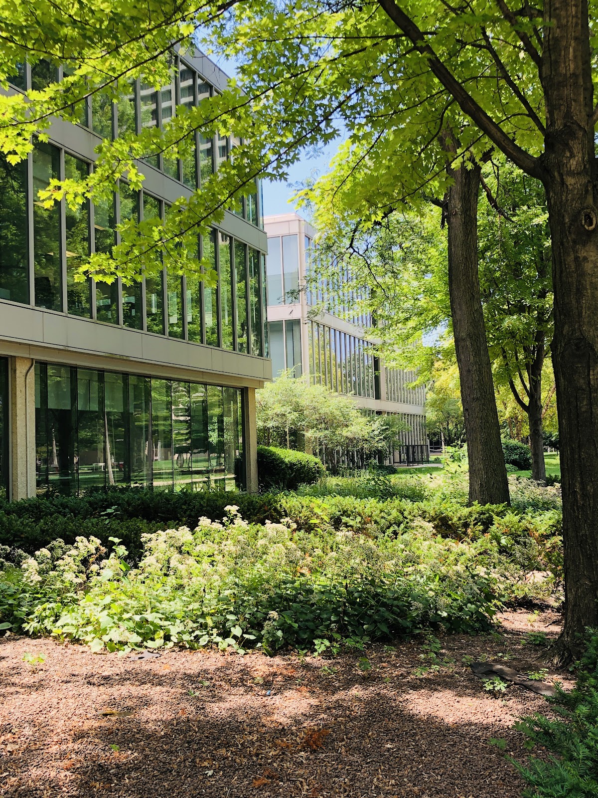 Regional University 2218 photo 9