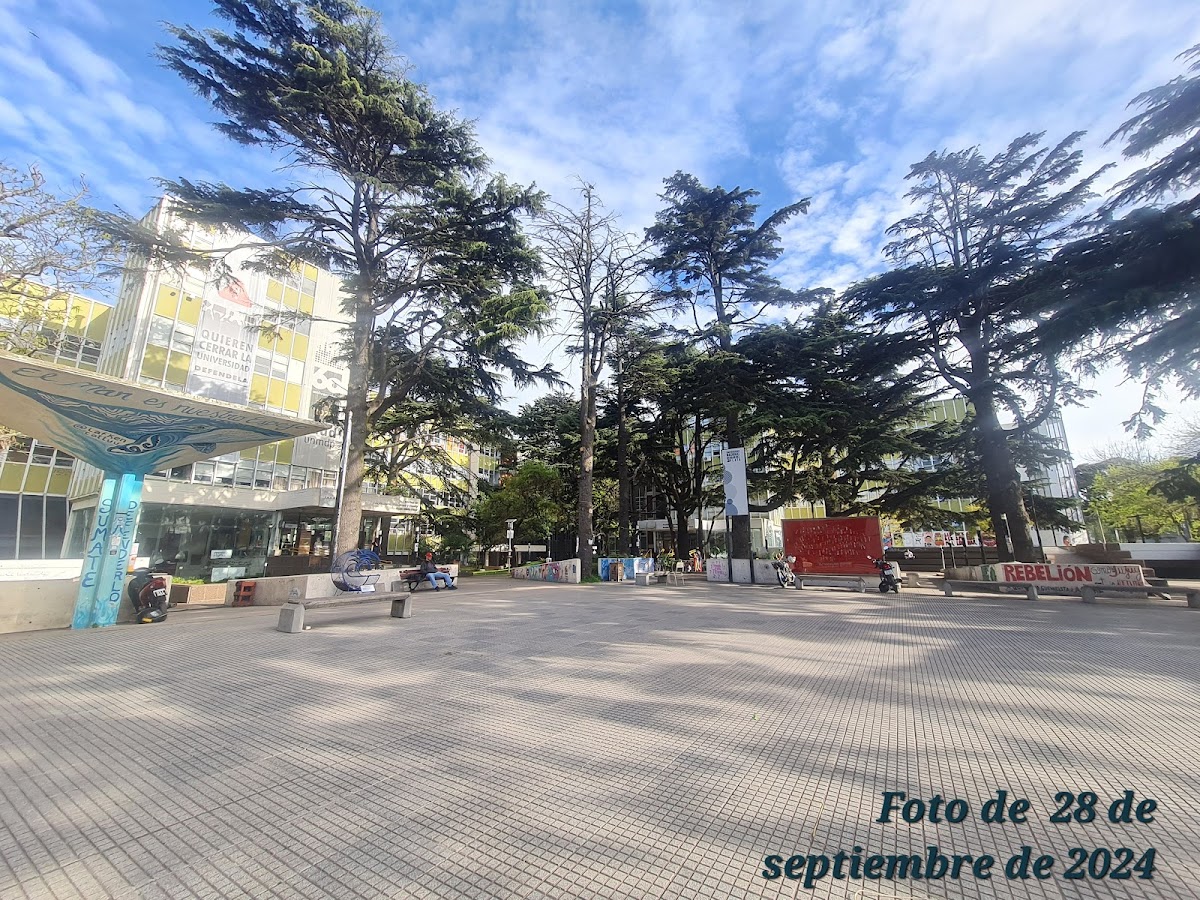 National University of Mar del Plata photo 5