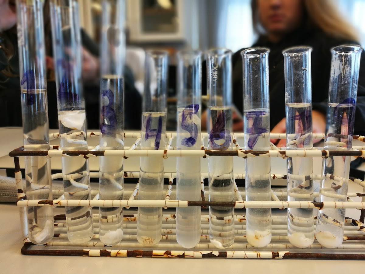 Campus Bornholm photo 1