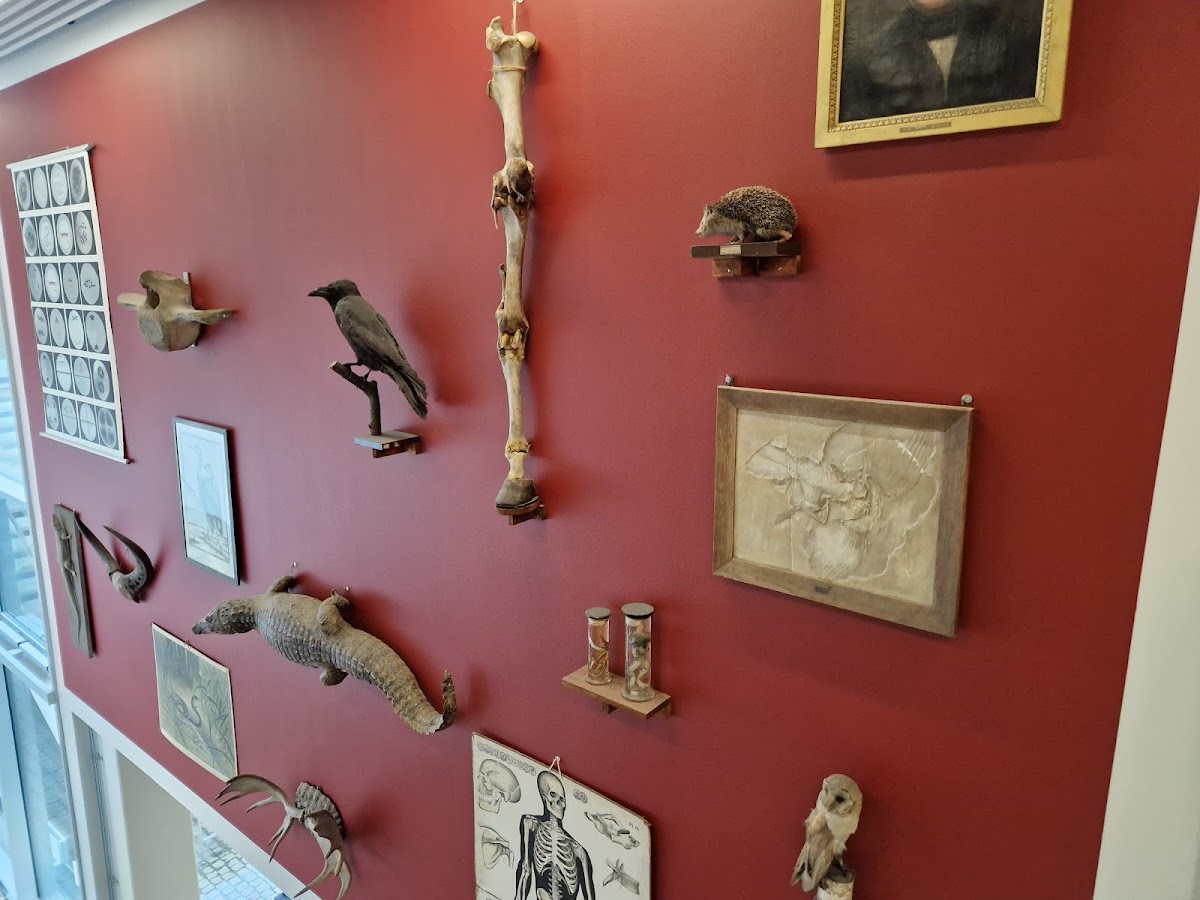 Campus Bornholm photo 3