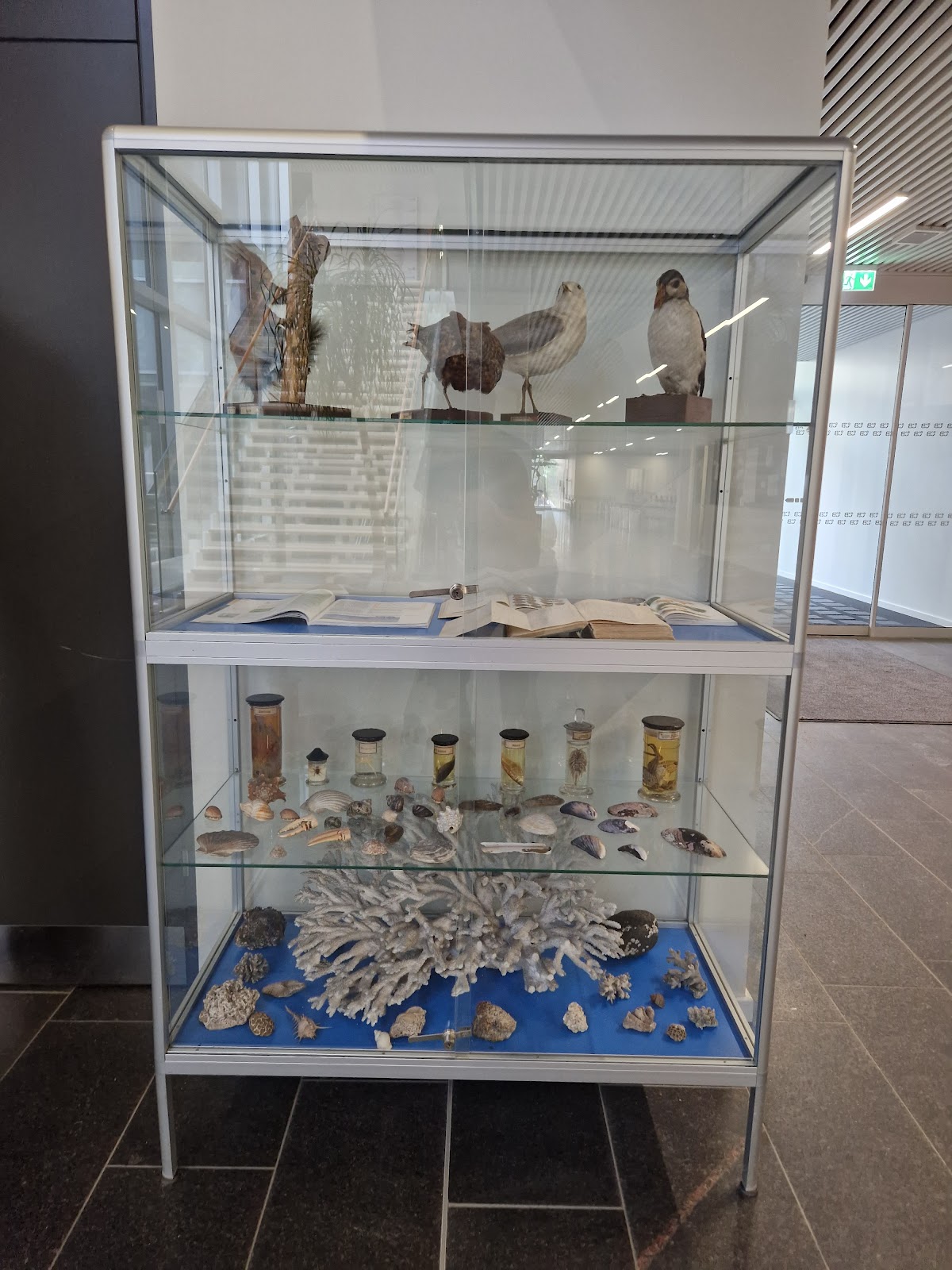 Campus Bornholm photo 8