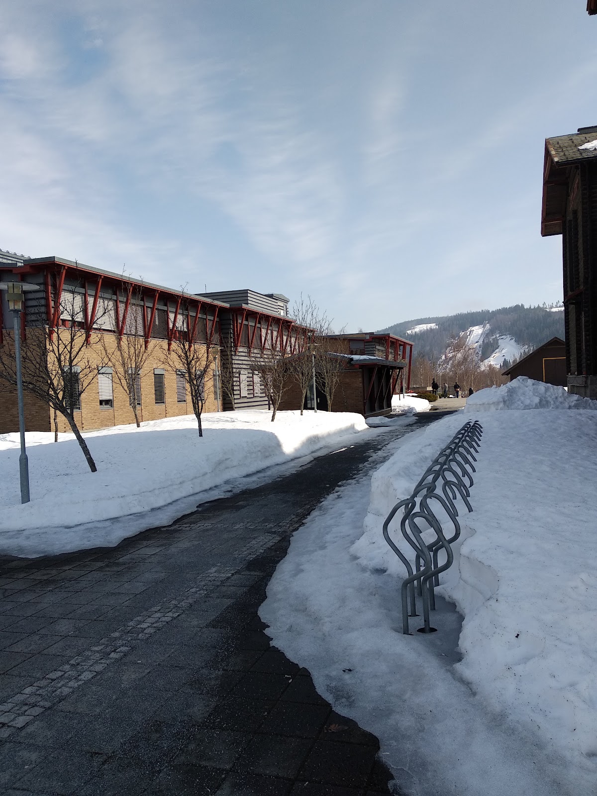 Inland Norway University of Applied Sciences photo 3