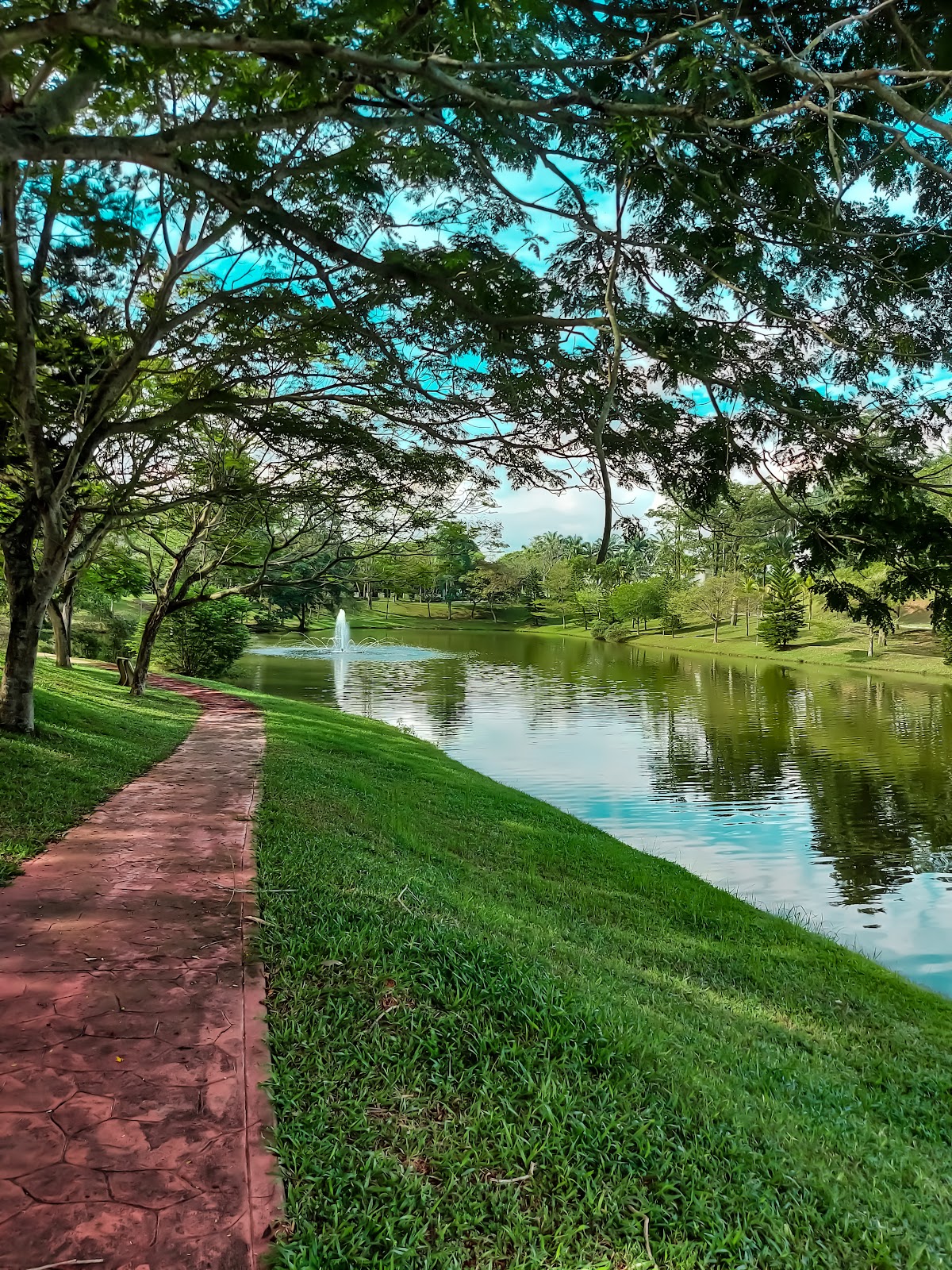 University of Nottingham Malaysia photo 9