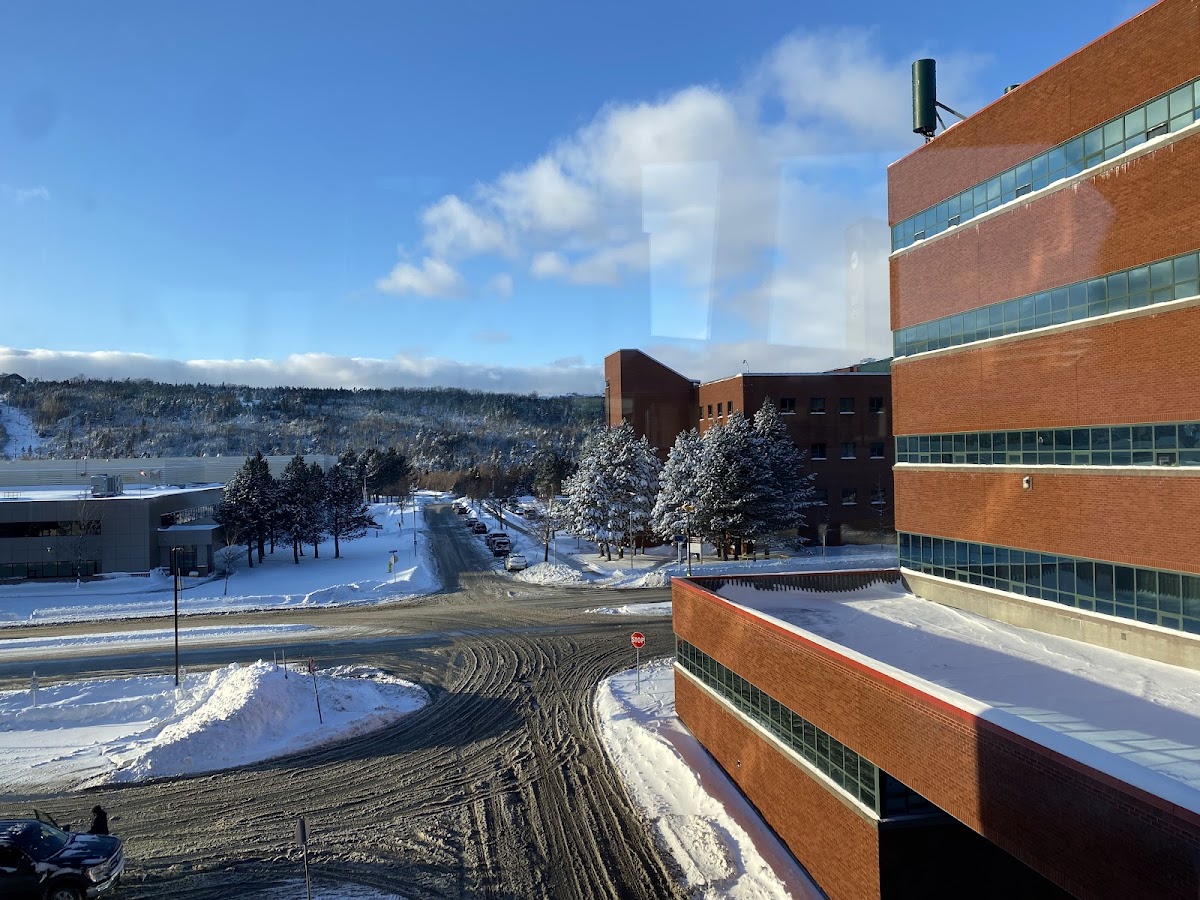 College of the North Atlantic photo 4