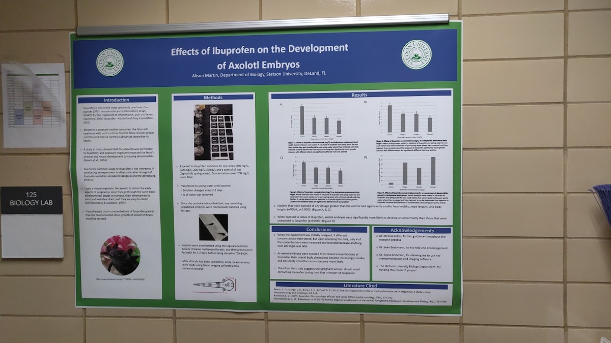 Stetson University photo 1