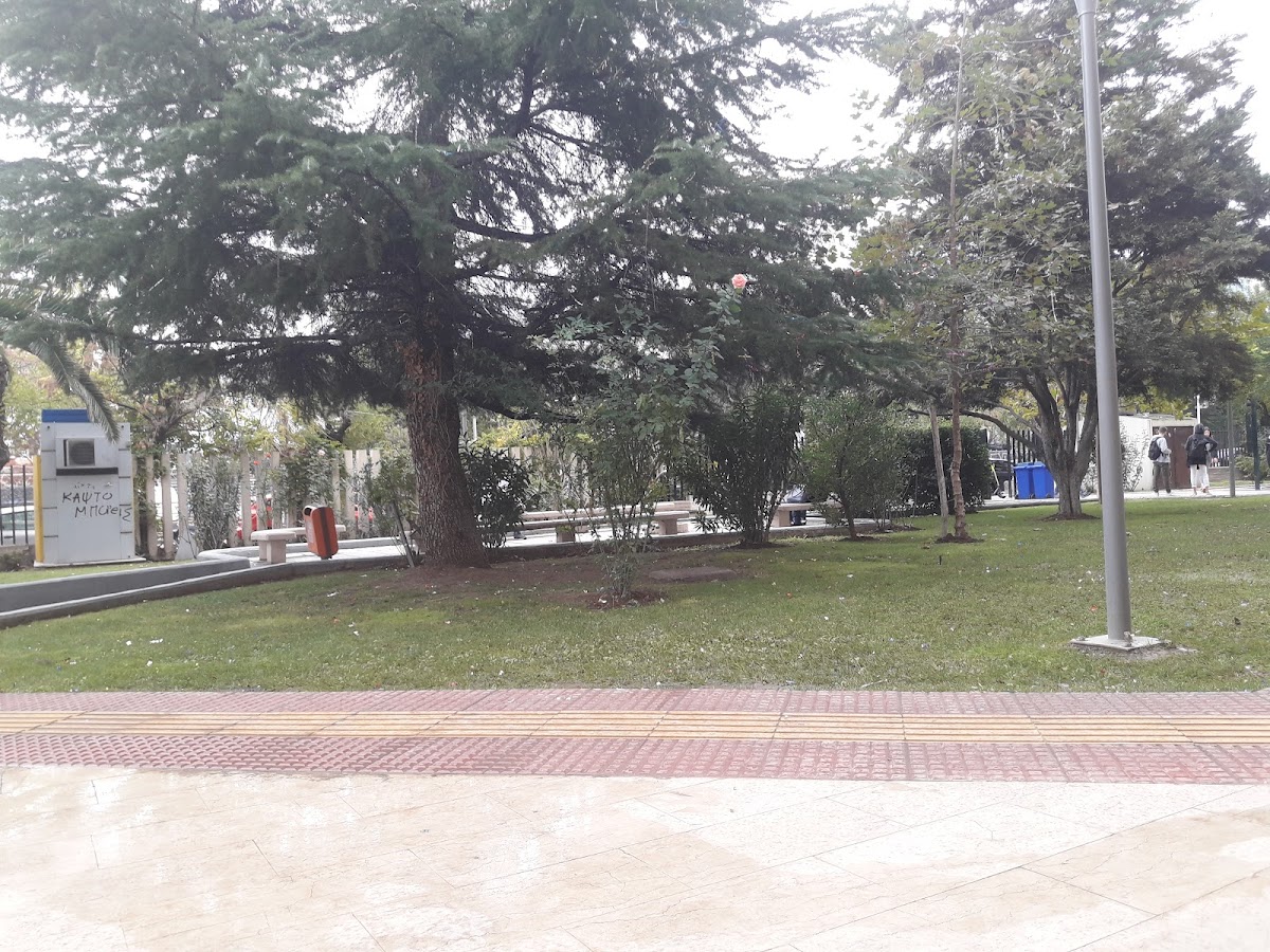 University of Macedonia photo 6