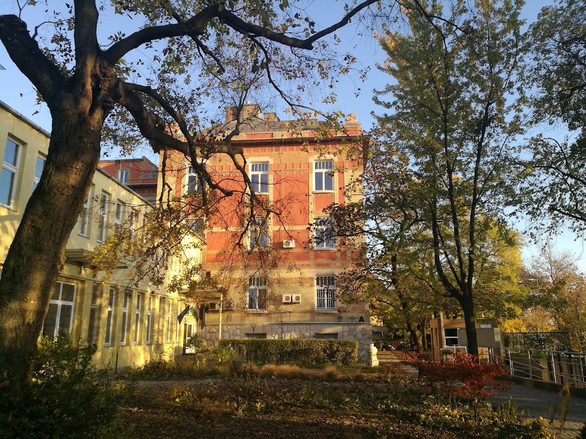 Hungarian Dance Academy photo 4