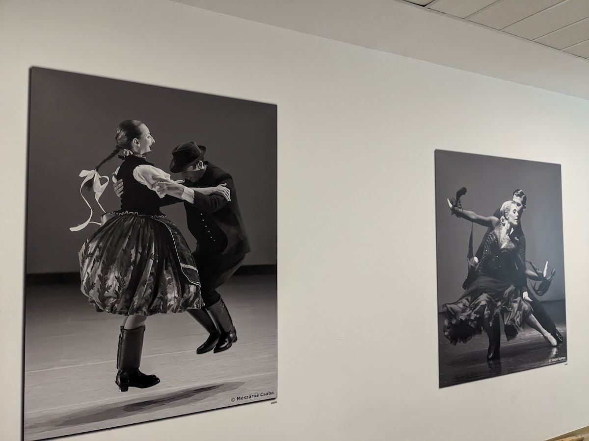 Hungarian Dance Academy photo 6