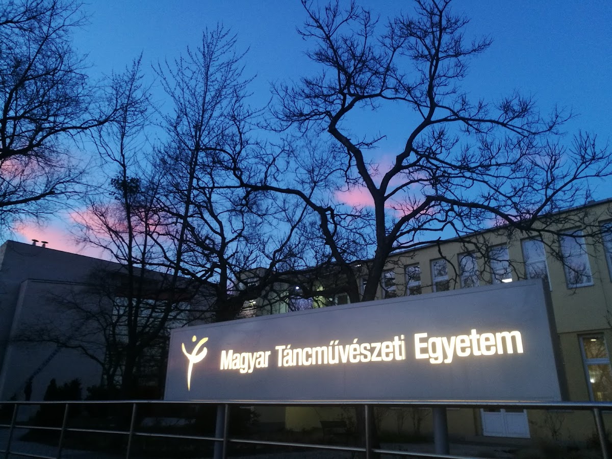 Hungarian Dance Academy photo 7