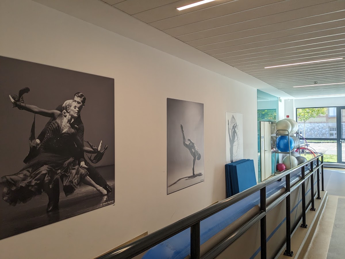 Hungarian Dance Academy photo 8