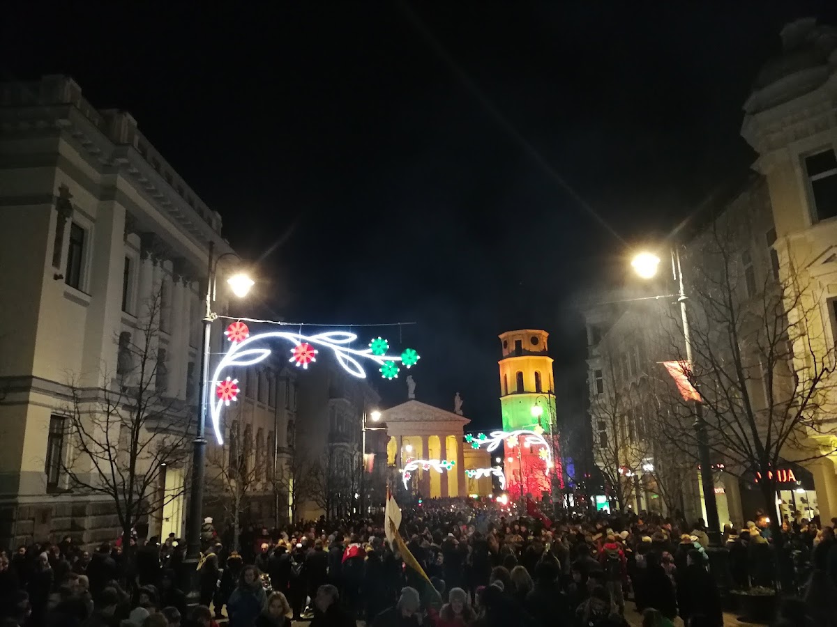 Lithuanian Academy of Music and Theatre photo 8