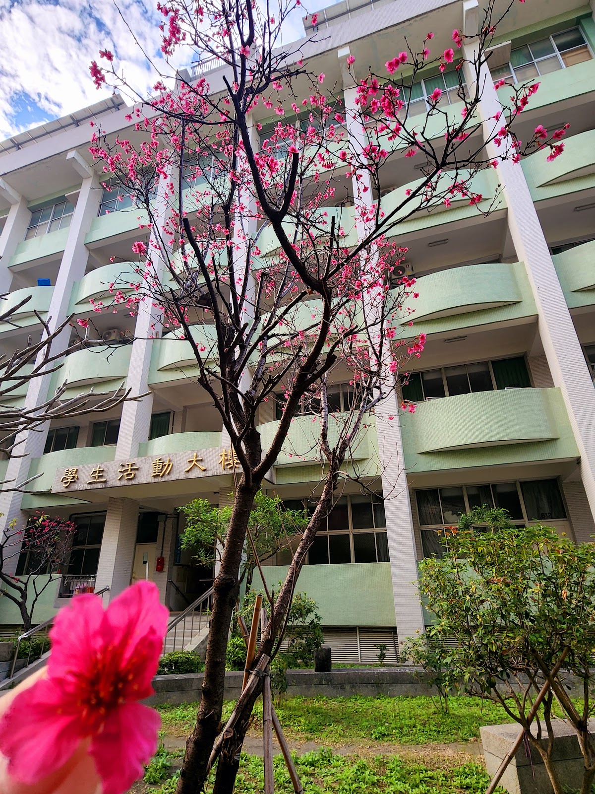 Overseas Chinese University photo 9