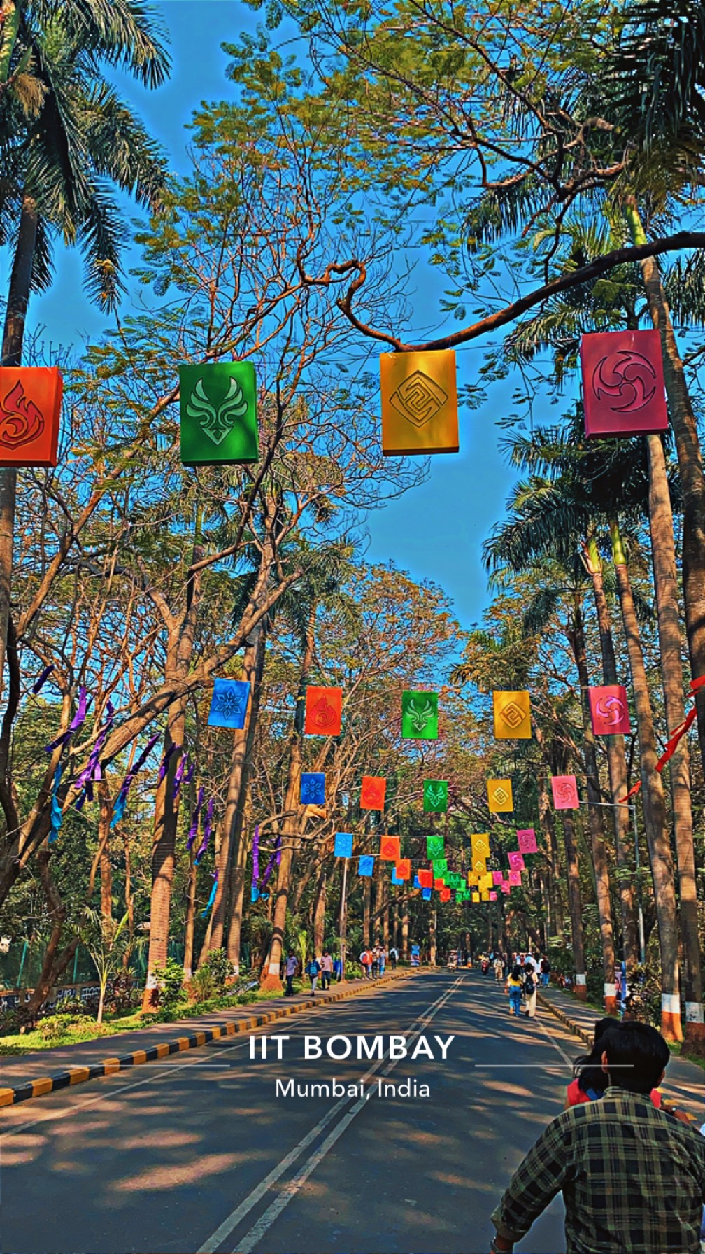 Indian Institute of Technology Bombay photo 9