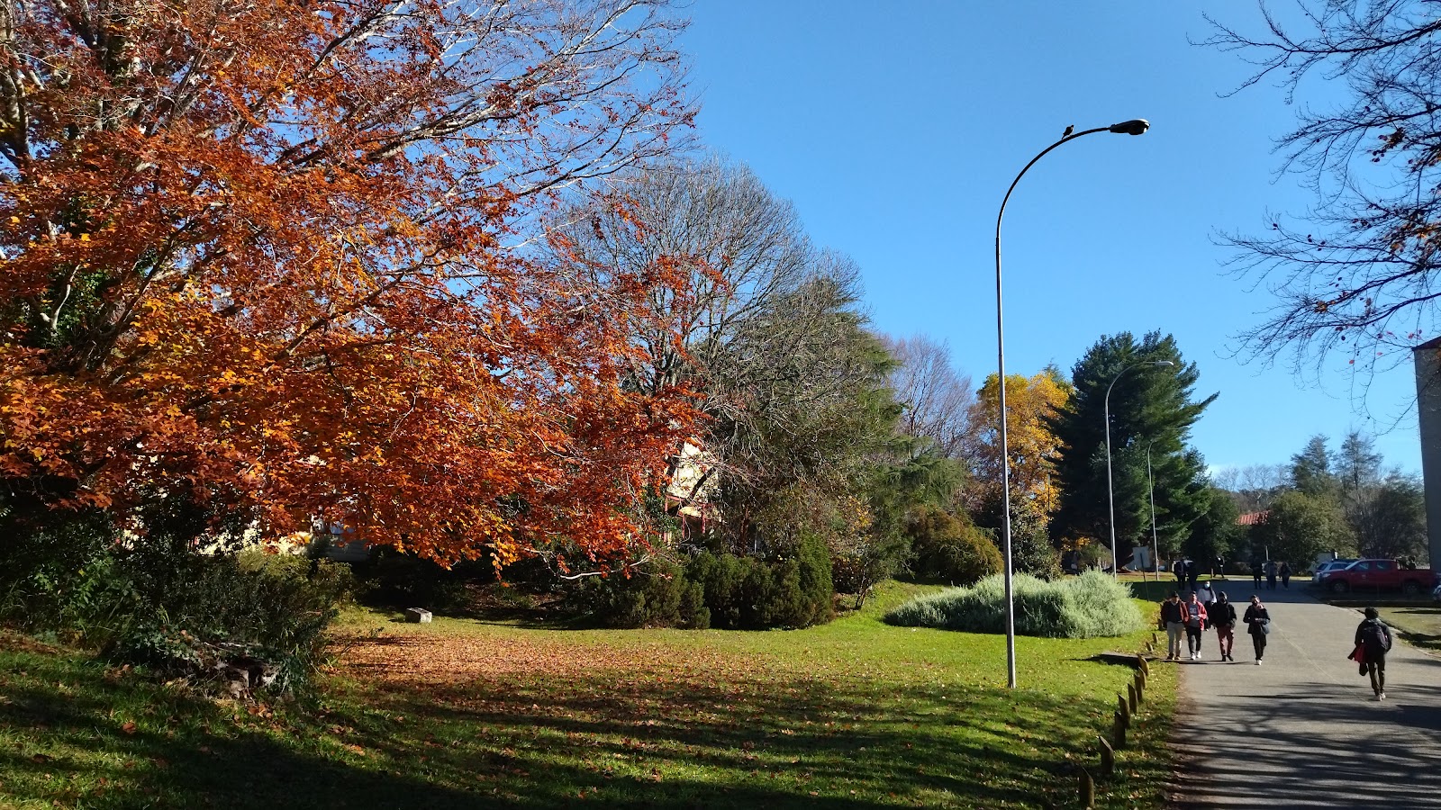 Austral University of Chile