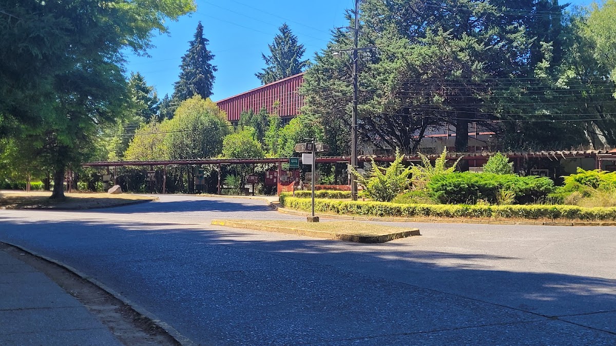 Austral University of Chile photo 1