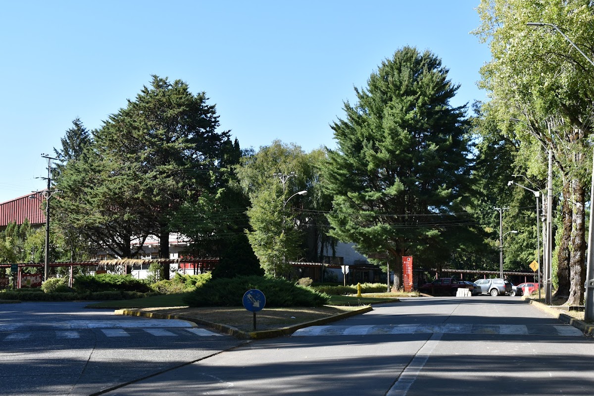 Austral University of Chile photo 2
