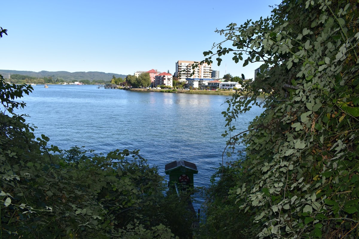 Austral University of Chile photo 4