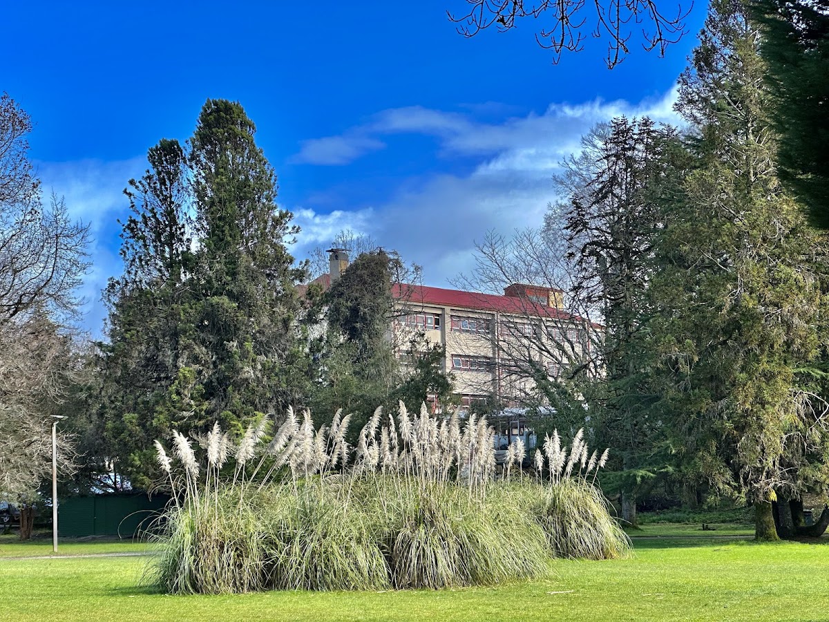 Austral University of Chile photo 6