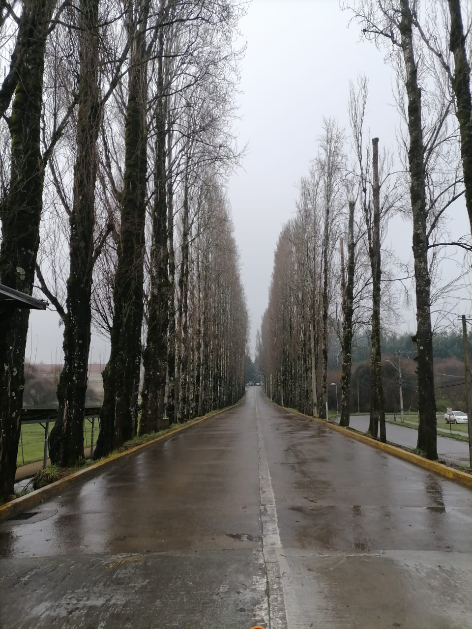 Austral University of Chile photo 8