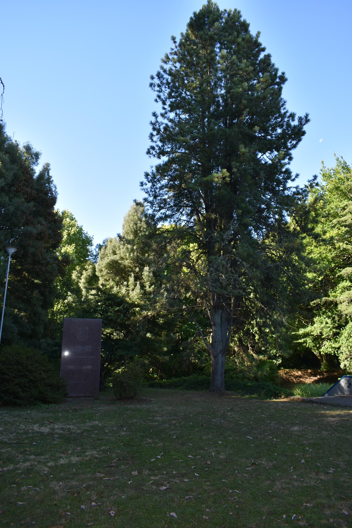Austral University of Chile photo 9