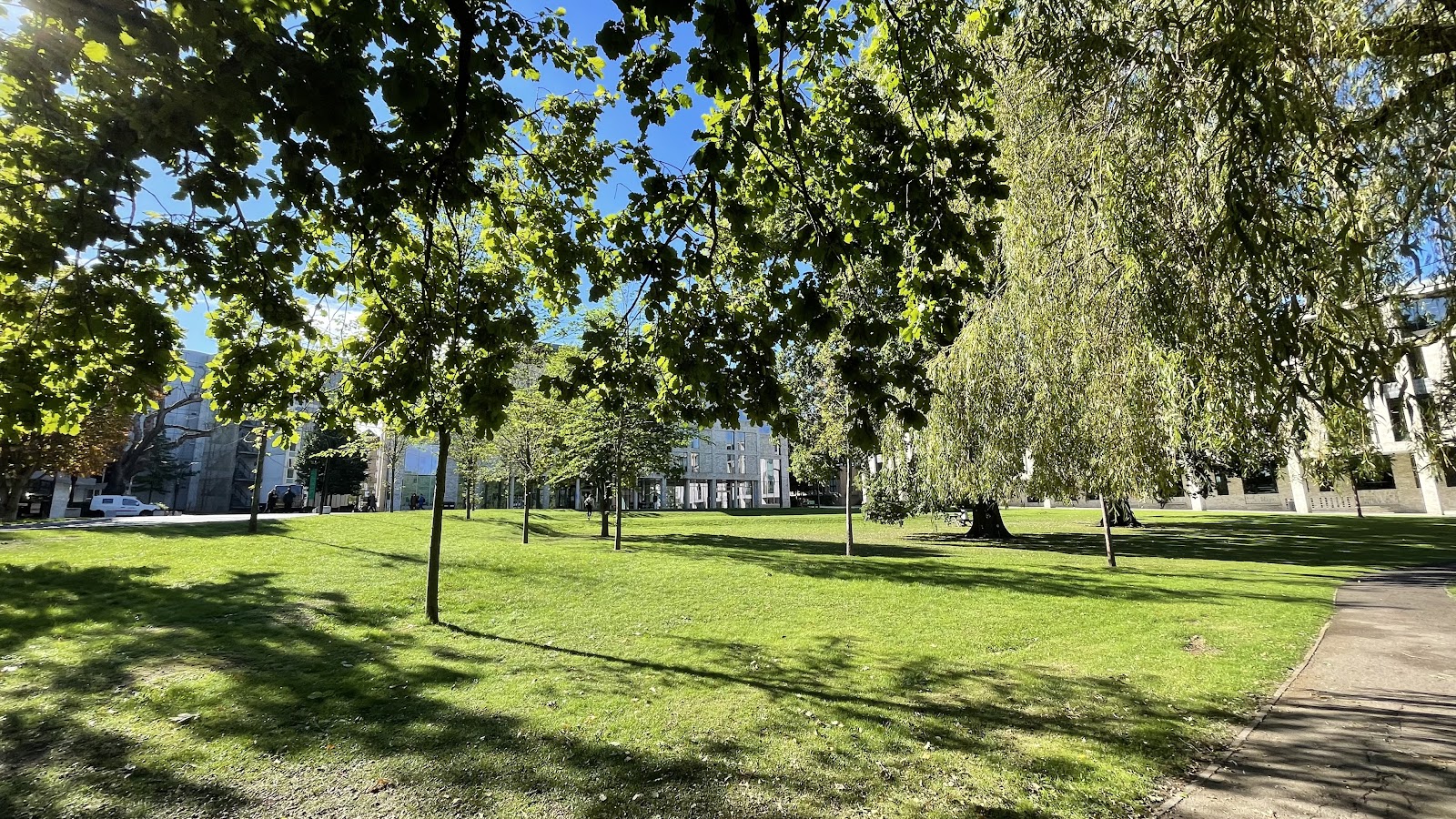 Roehampton University