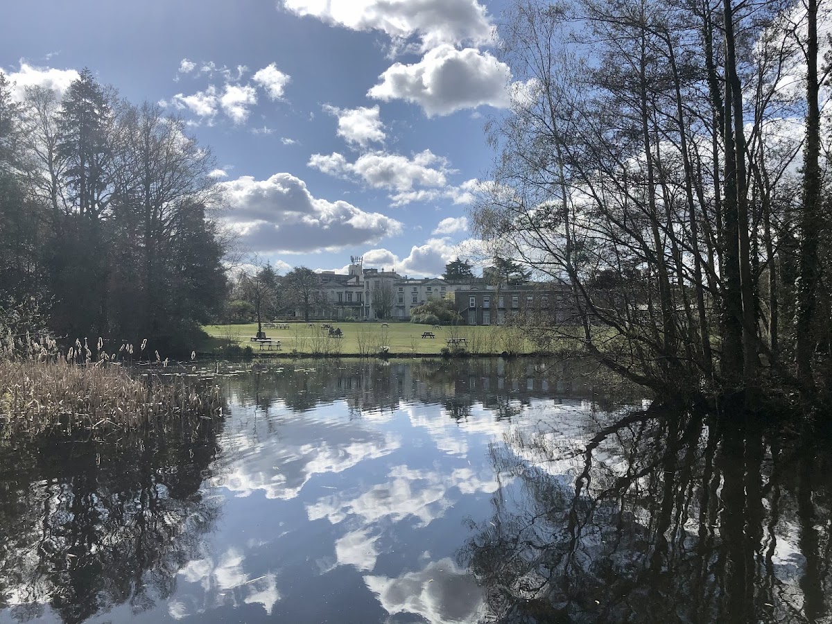 Roehampton University photo 6