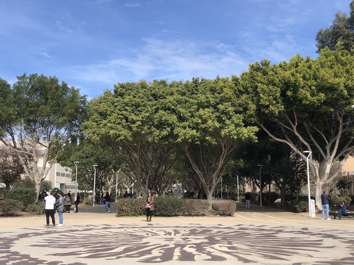 University of Almería photo 5