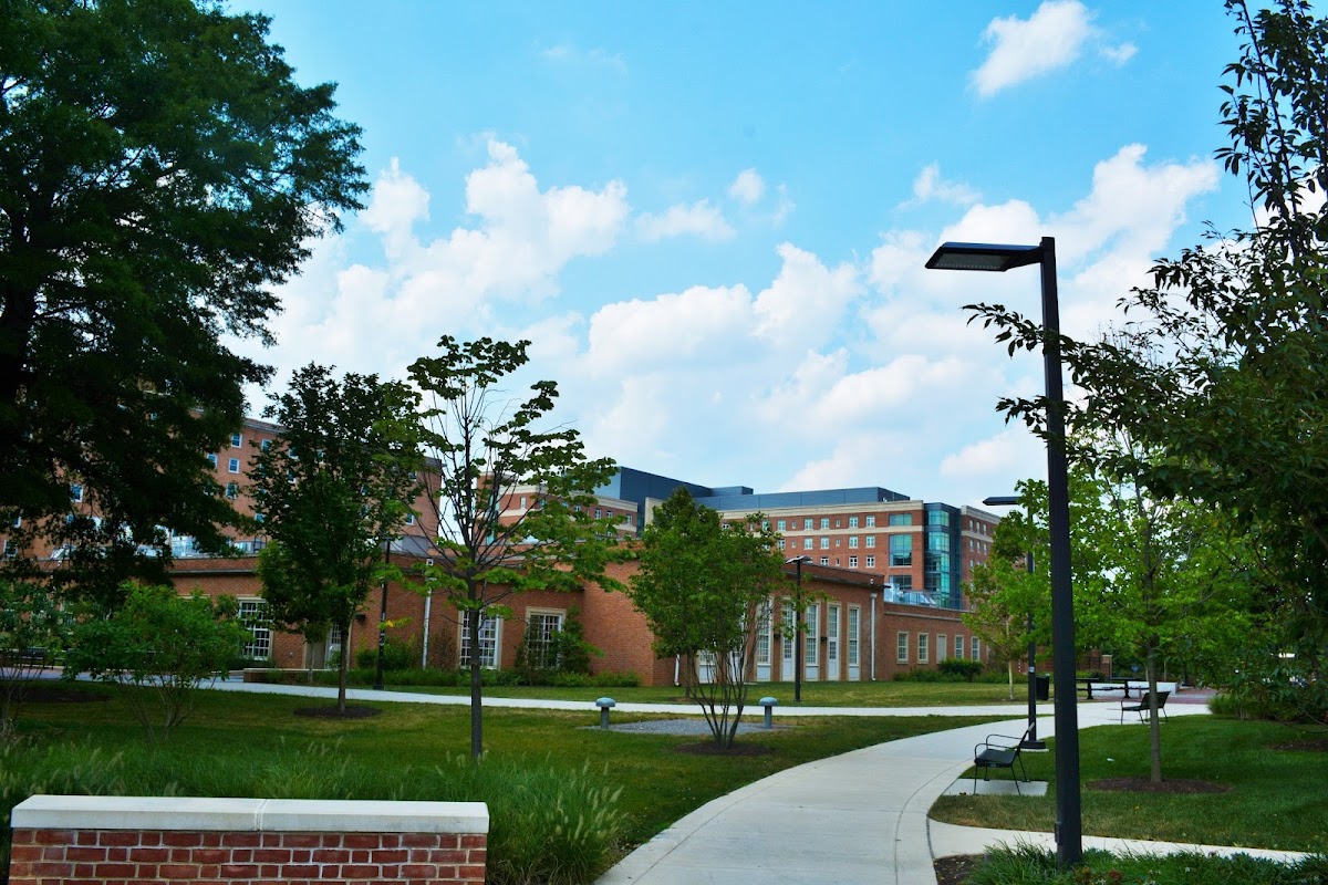 University of Maryland photo 2