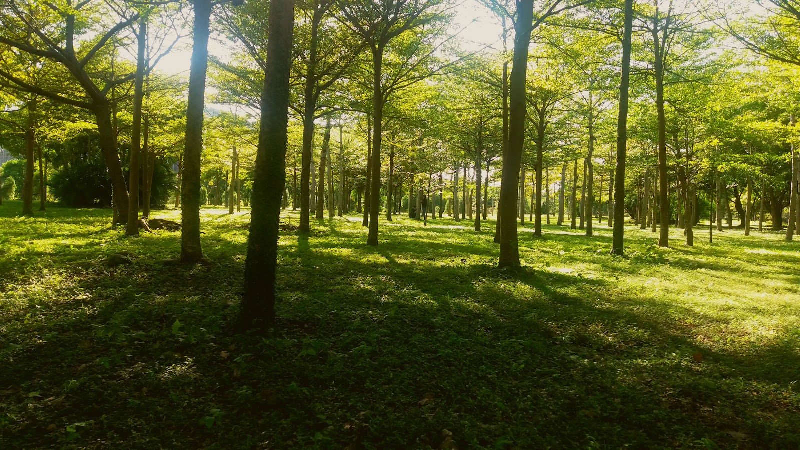 National Taipei University