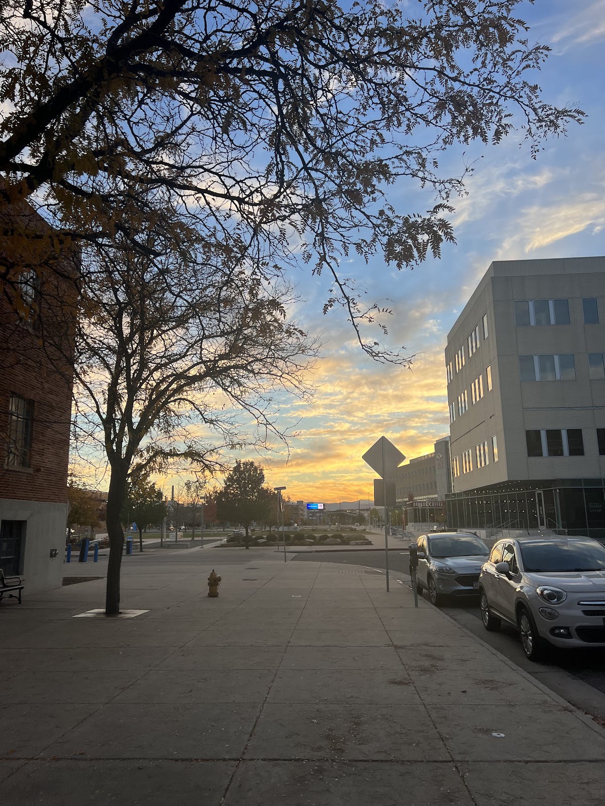 Metropolitan State University of Denver photo 8