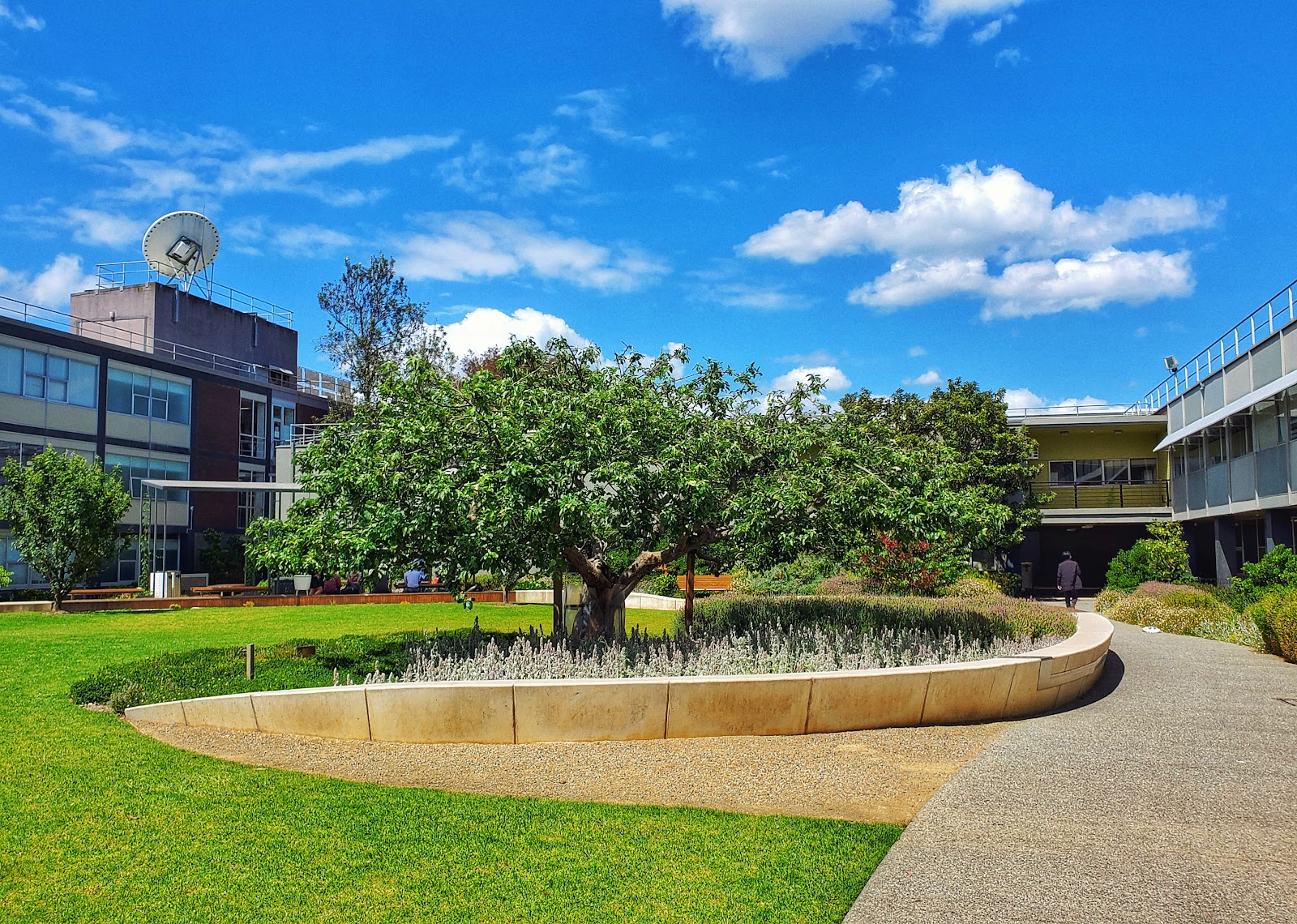 Monash University