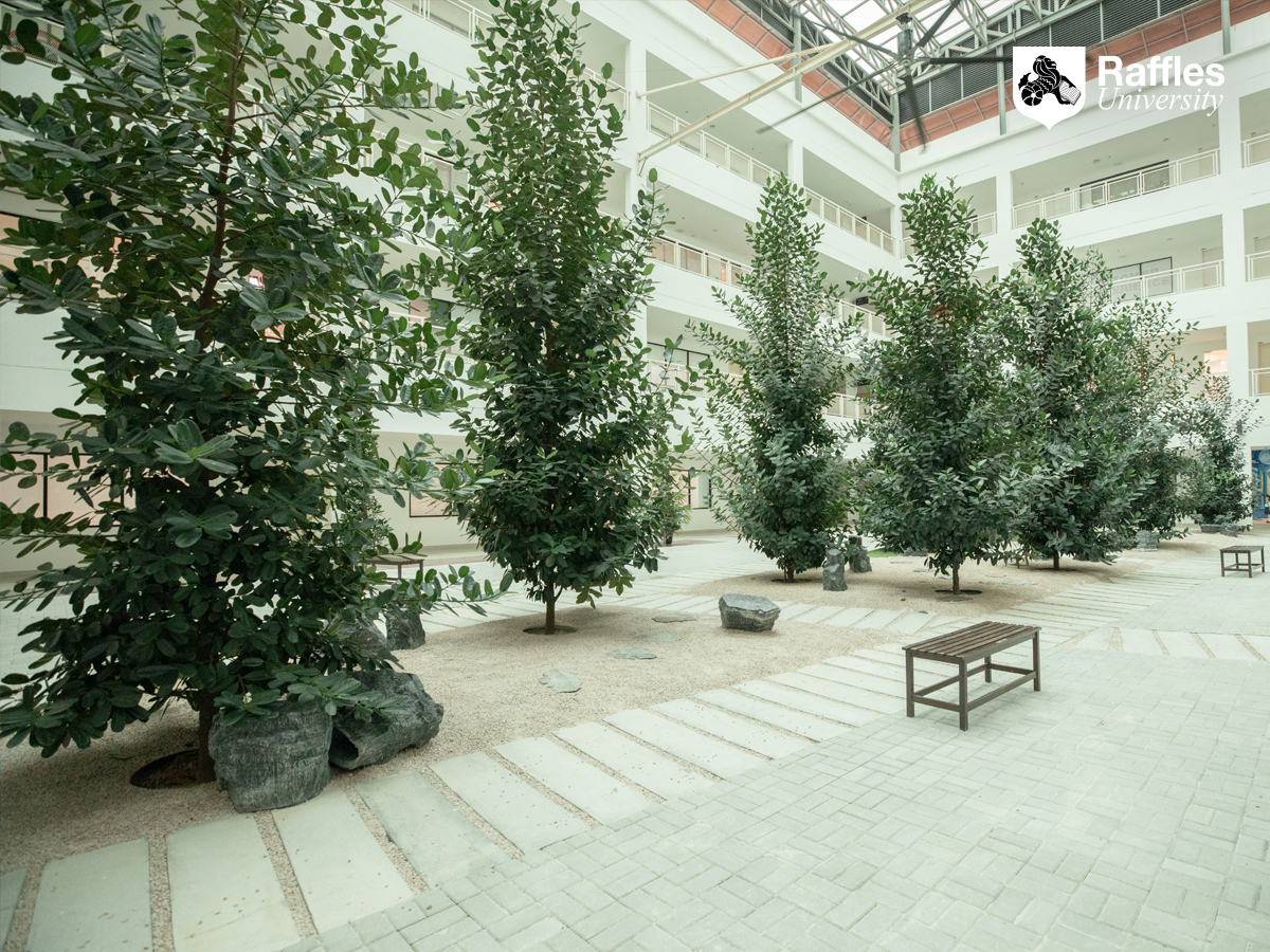 Raffles University Iskandar photo 8