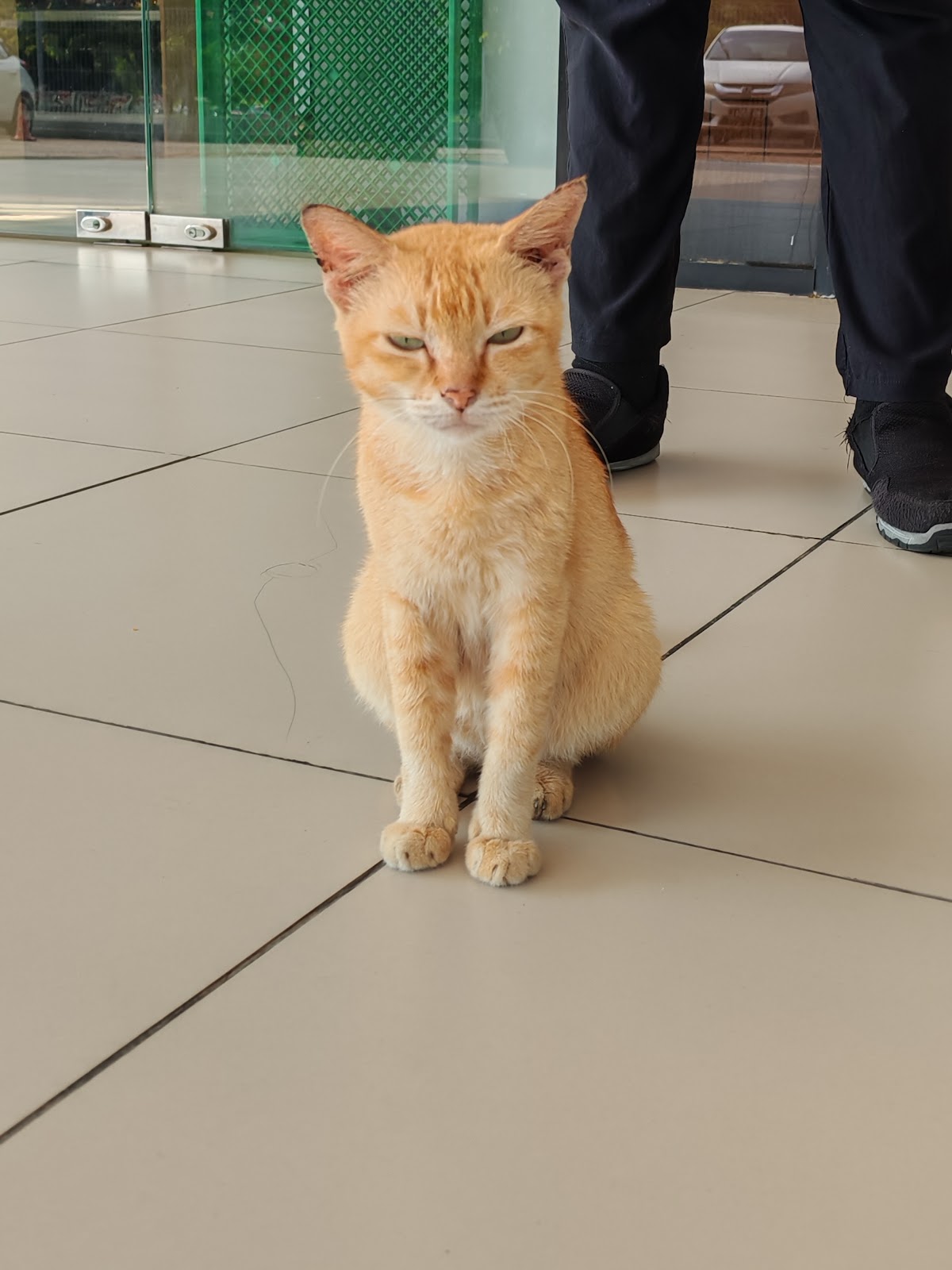 Raffles University Iskandar photo 9