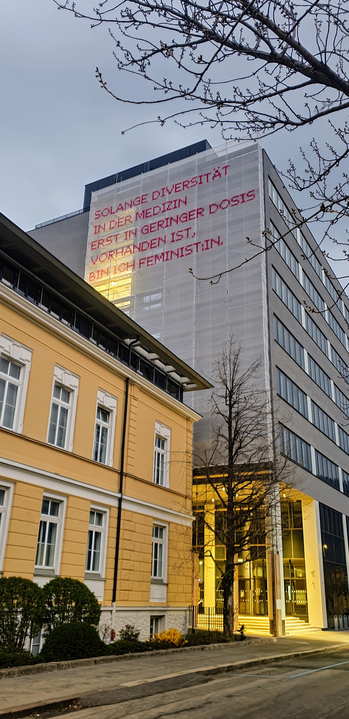 Medical University of Innsbruck photo 9