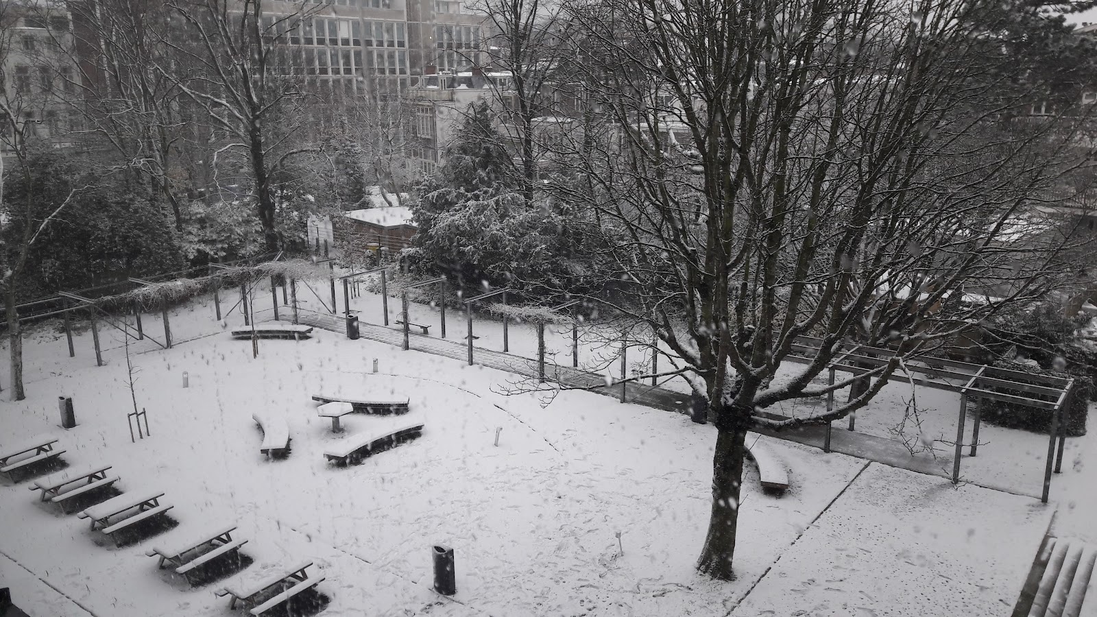 Inholland University of Applied Sciences