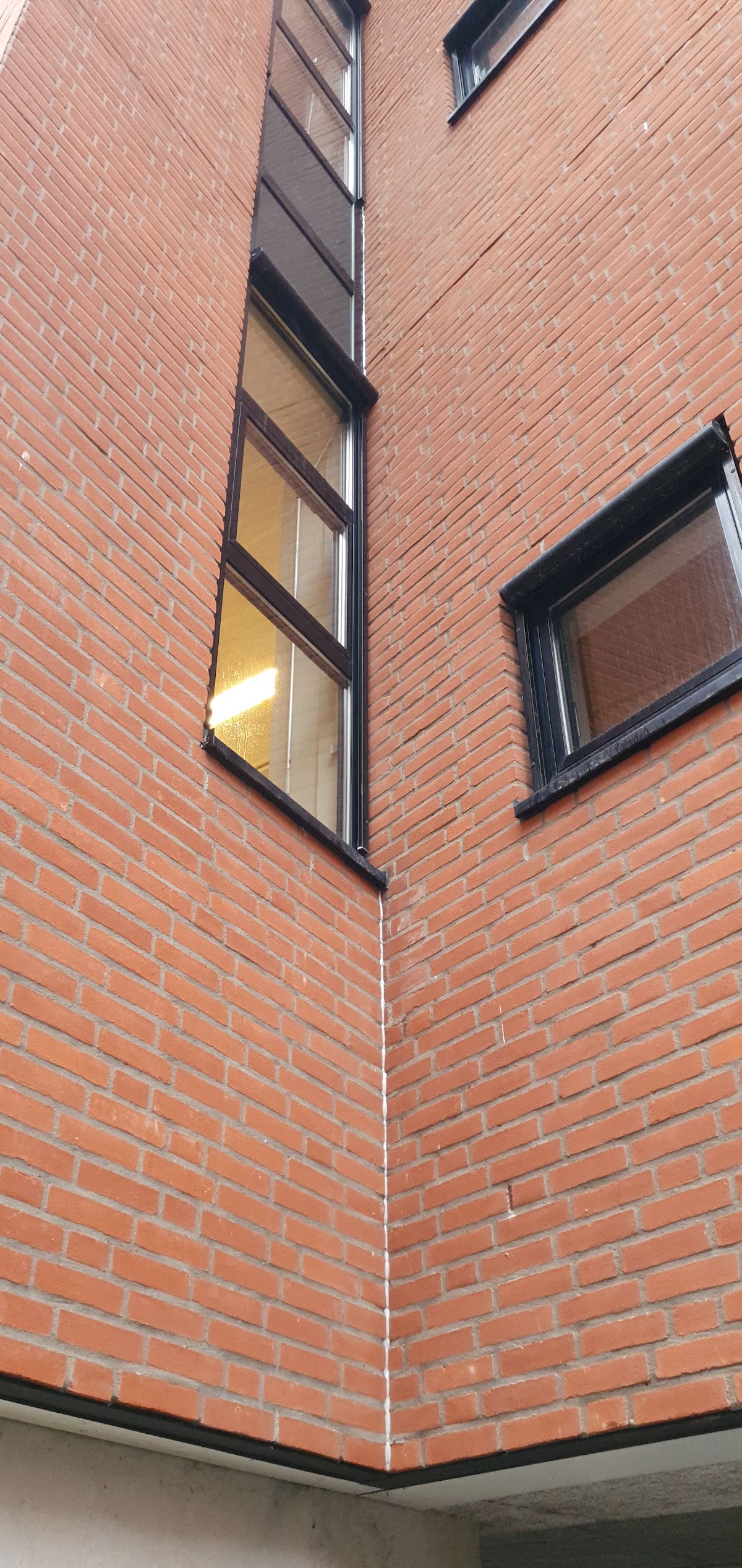 Inholland University of Applied Sciences photo 9